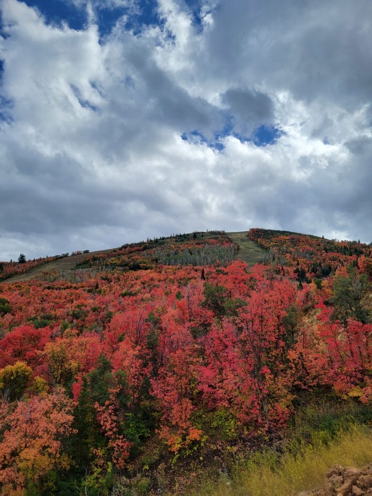 Marcella Jordanelle Mayflower Resort Deer Valley